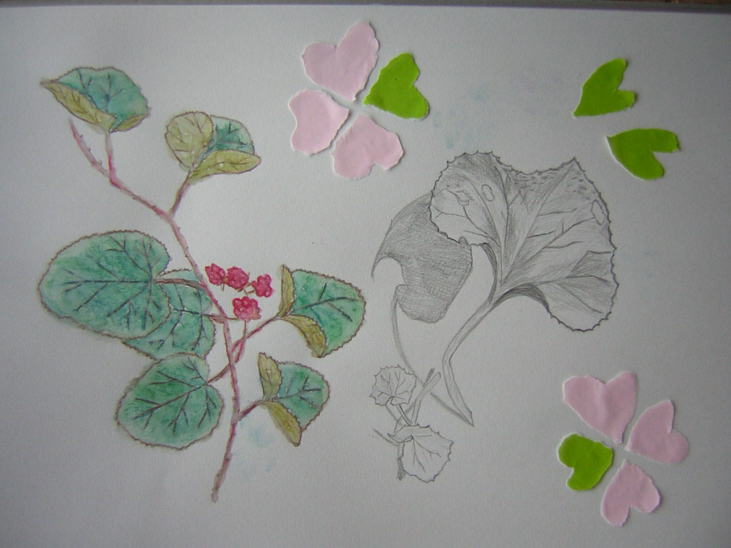 ���݂�����