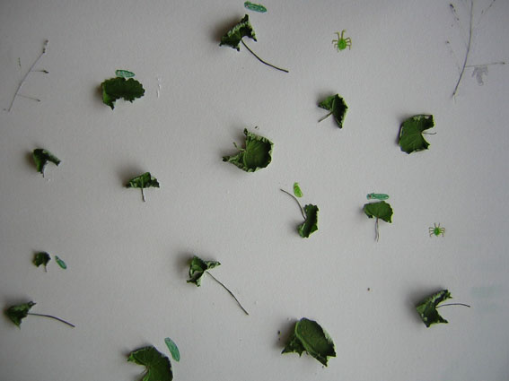 ���Â������