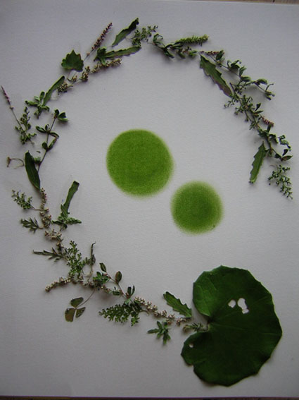 ���ɂ����